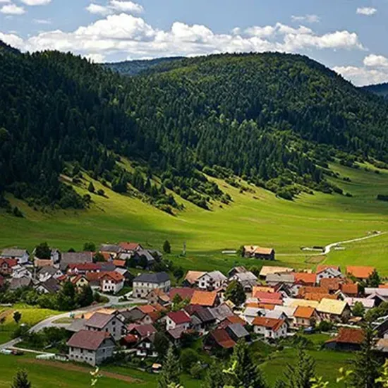 loskipotok1 1 1
